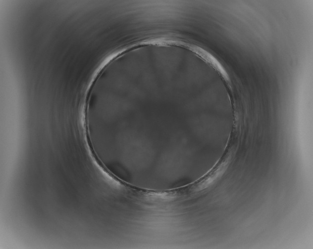 X0000110700855200906191526