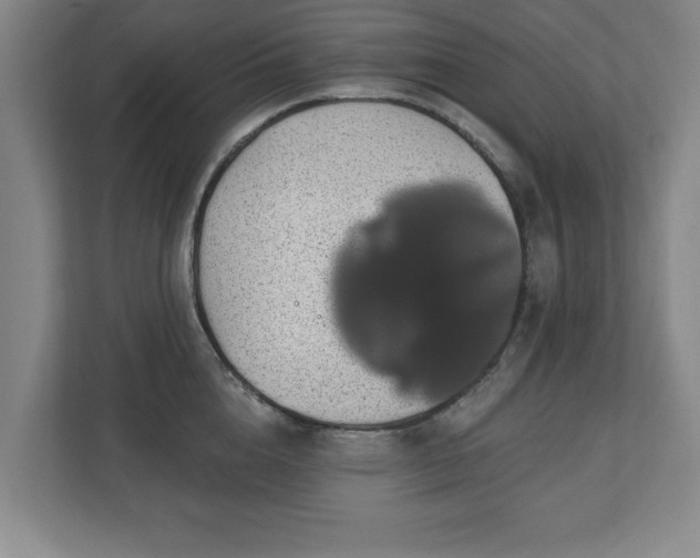 X0000110700856200906191526