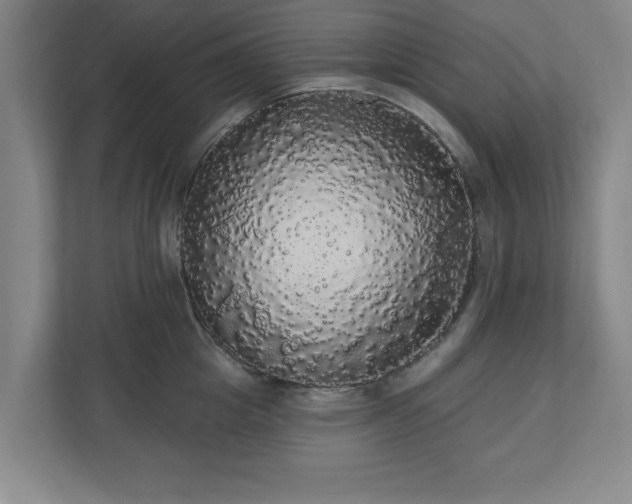 X0000110700857200906191526