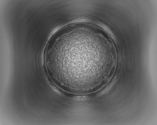 X0000110700858200906191526