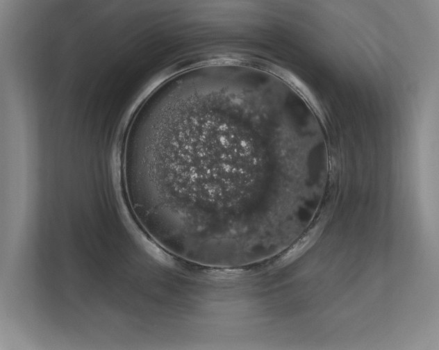 X0000110700859200906191526