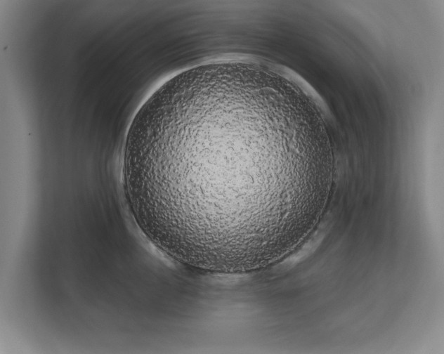 X0000110700860200906191526