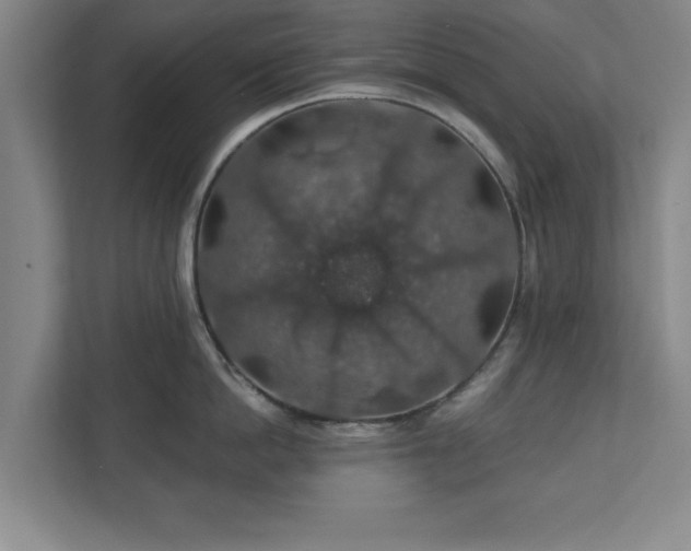 X0000110700862200906191526