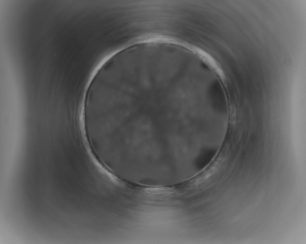 X0000110700863200906191526