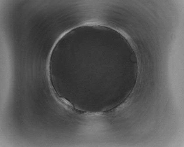 X0000110700864200906191526