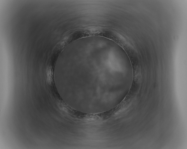 X0000110700866200906191525