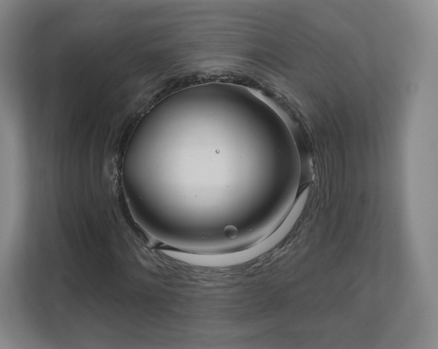 X0000110700868200906191525