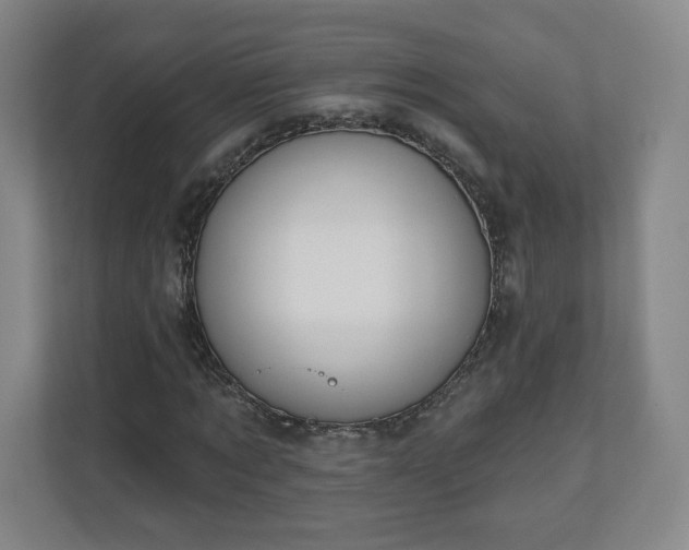 X0000110700869200906191525