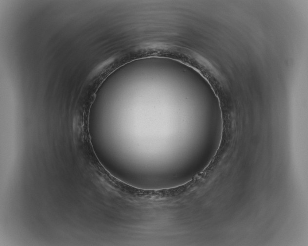 X0000110700872200906191525