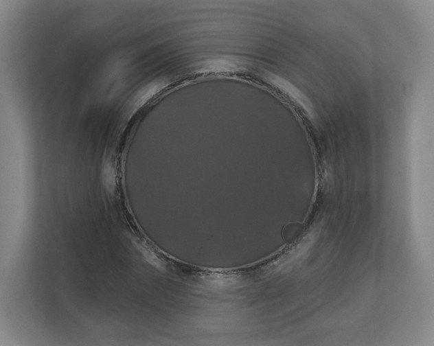 X0000110700874200906191525
