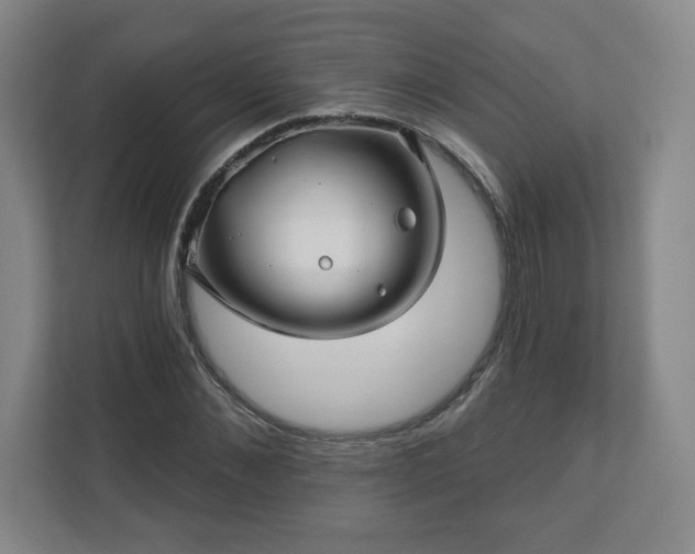 X0000110700876200906191525