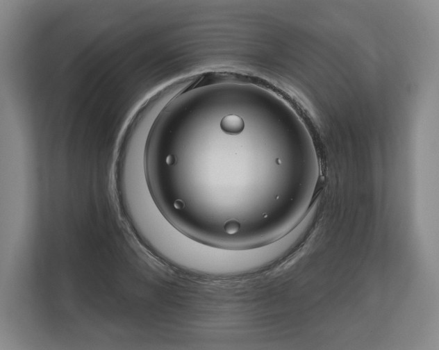 X0000110700880200906191525