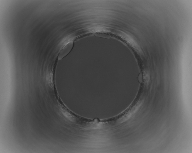 X0000110700881200906191525