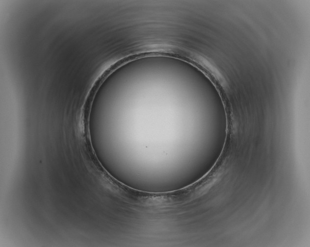 X0000110700883200906191525