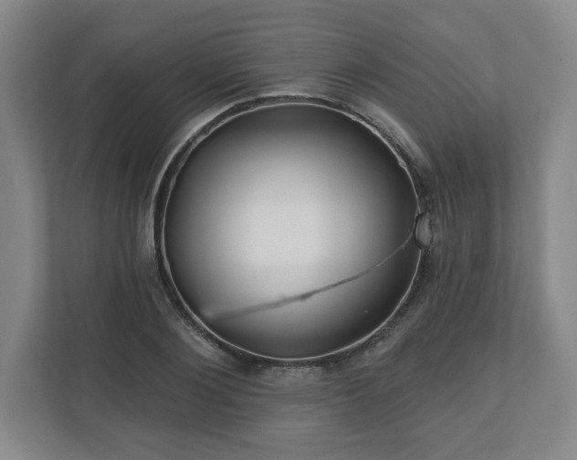 X0000110700884200906191525