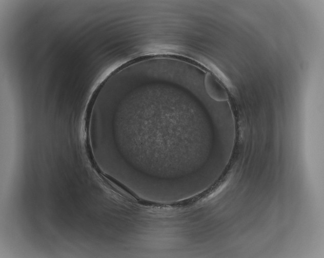 X0000110700885200906191525