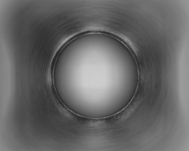 X0000110700887200906191525