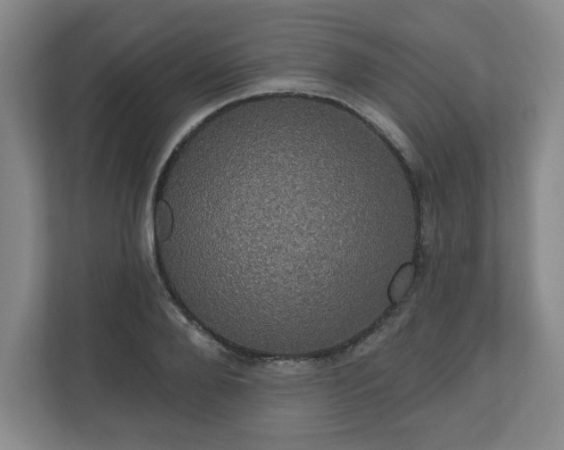 X0000110700888200906191525