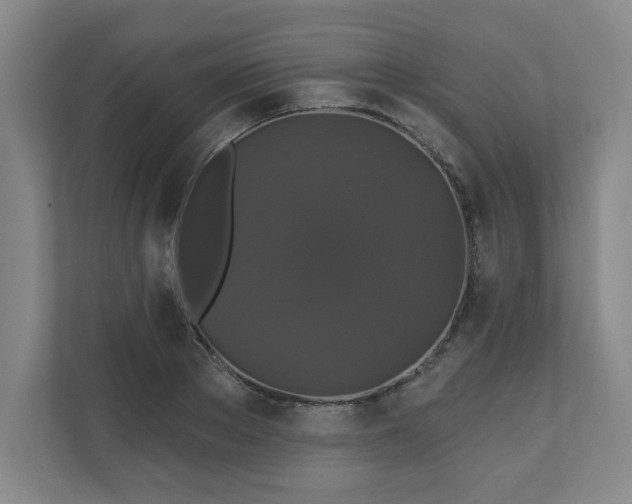 X0000110700889200906191525