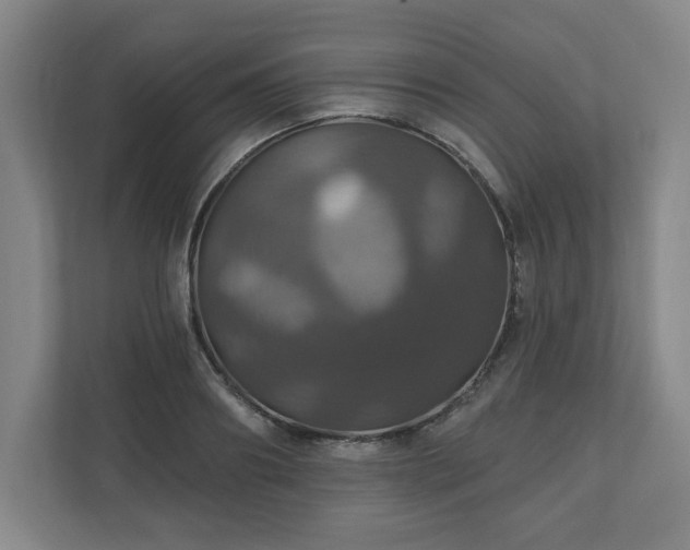 X0000110700890200906191525