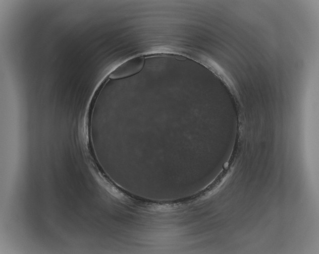 X0000110700892200906191525