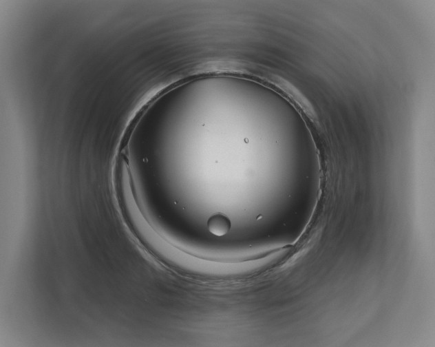 X0000110700893200906191525