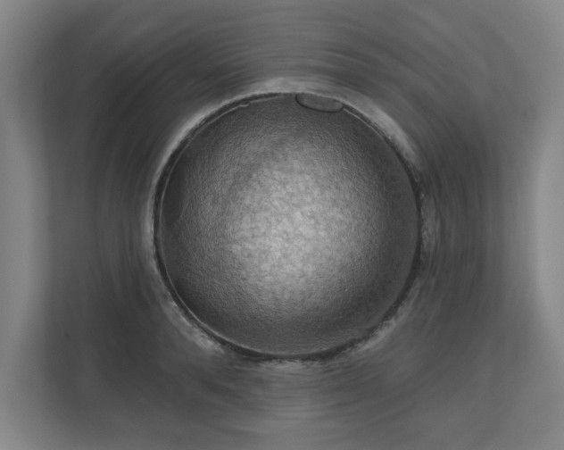X0000110700896200906191525