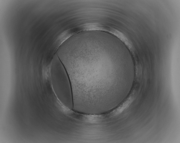 X0000110700897200906191525