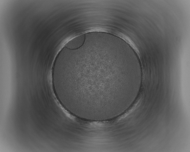 X0000110700898200906191525