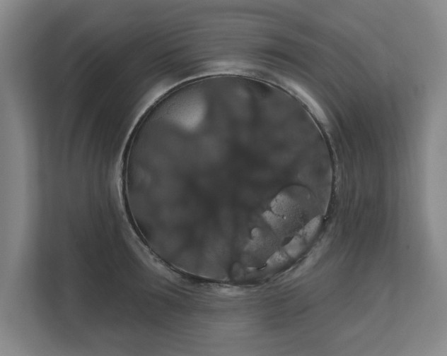 X0000110700899200906191525
