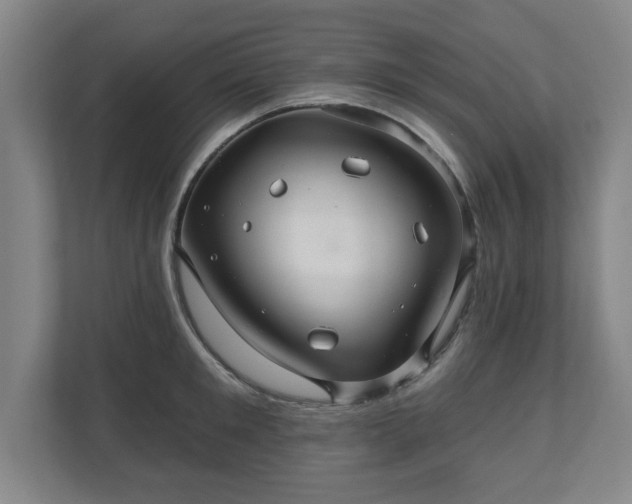 X0000110700901200906191525