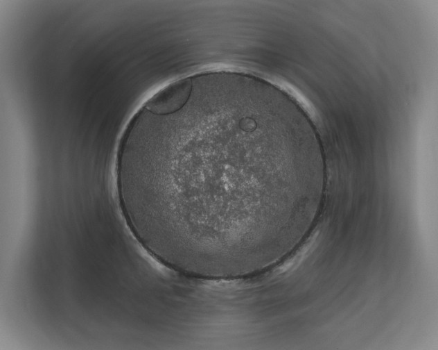 X0000110700902200906191525