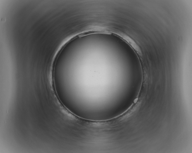 X0000110700904200906191525