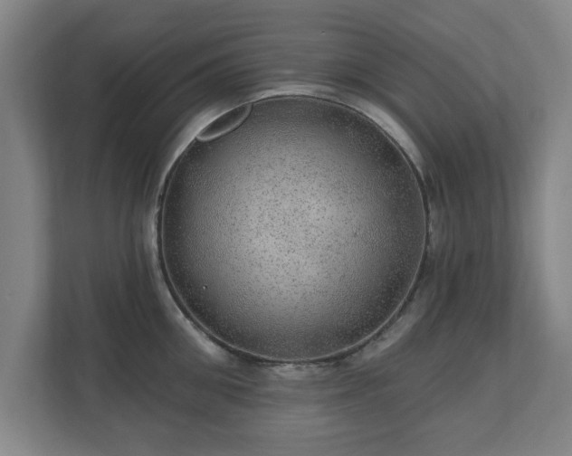 X0000110700906200906191525