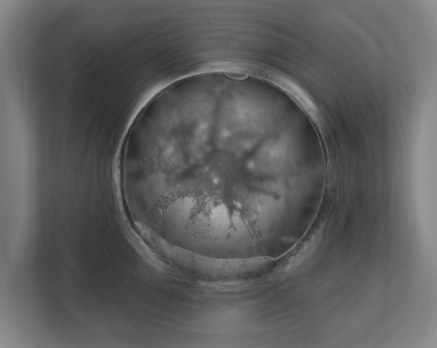 X0000110700907200906191525