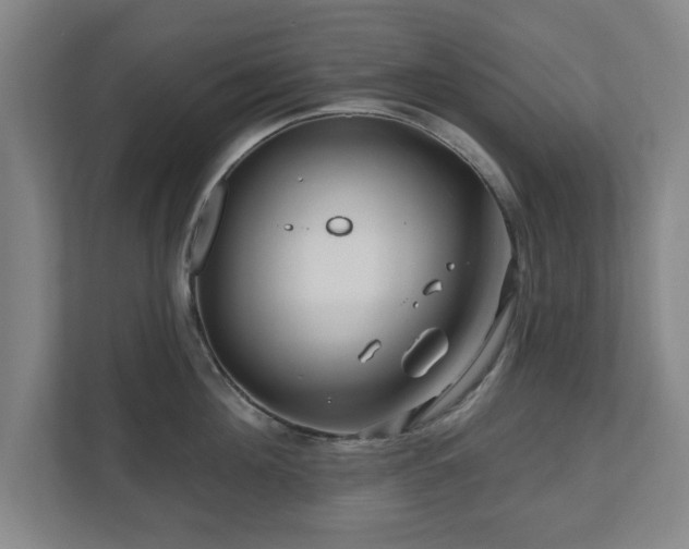 X0000110700908200906191525