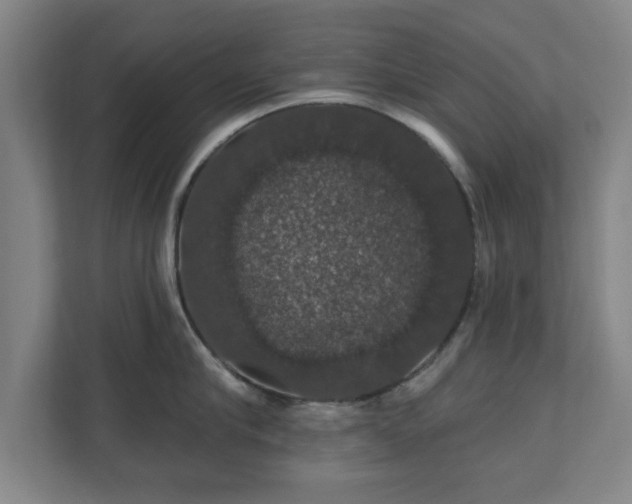 X0000110700910200906191525