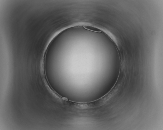 X0000110700911200906191525