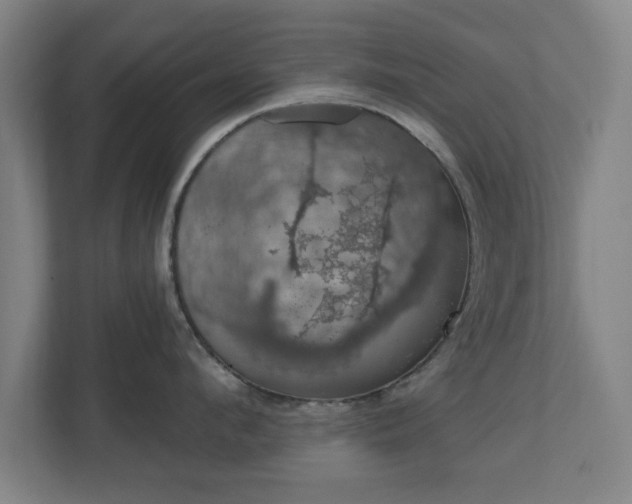 X0000110700912200906191525