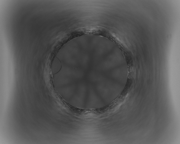 X0000110700913200906191524