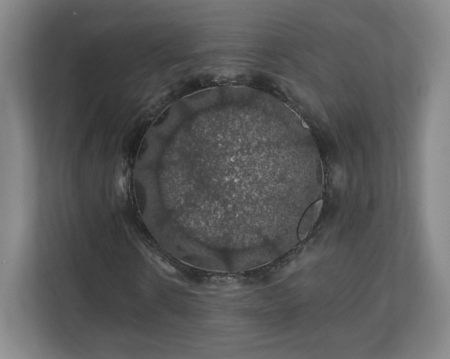 X0000110700914200906191524