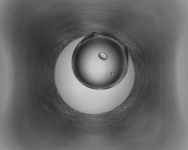 X0000110700916200906191524