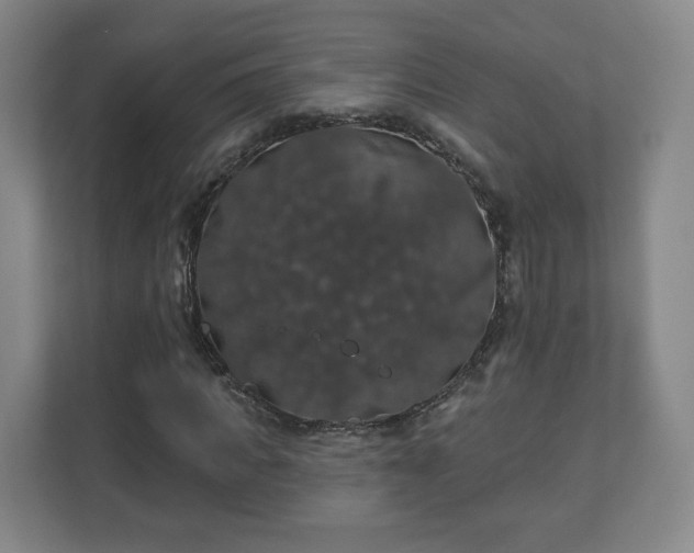 X0000110700917200906191524