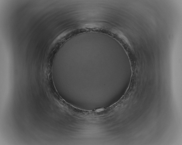 X0000110700920200906191524