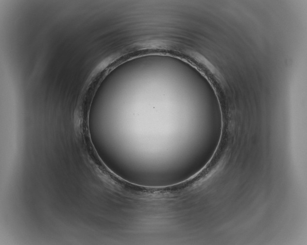 X0000110700922200906191524