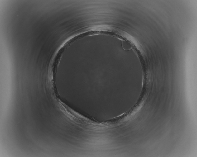 X0000110700923200906191524