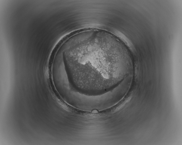 X0000110700924200906191524