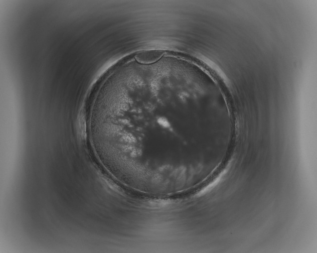 X0000110700925200906191524