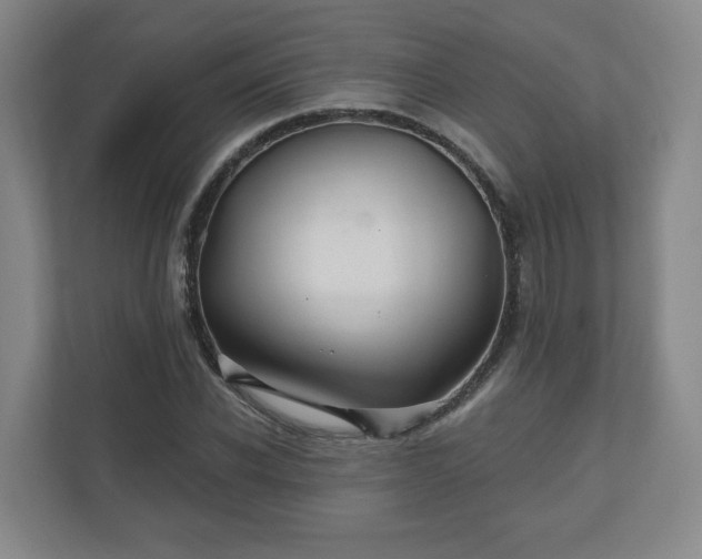 X0000110700926200906191524