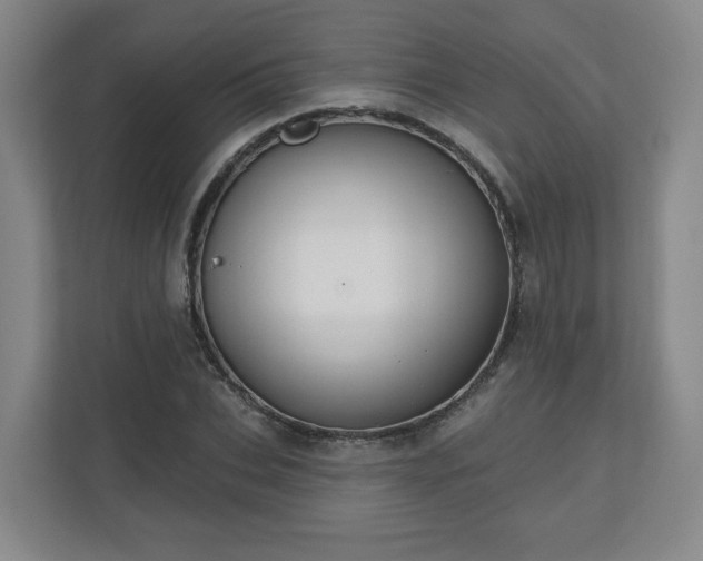 X0000110700927200906191524